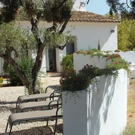Buena Idea - Adults Only 3*