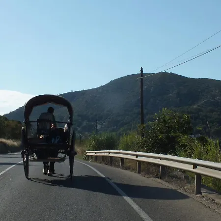 Panzió Buena Idea - Adults Only Jalón