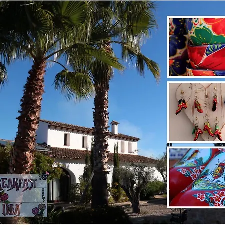 Bed & Breakfast Buena Idea - Adults Only 4*