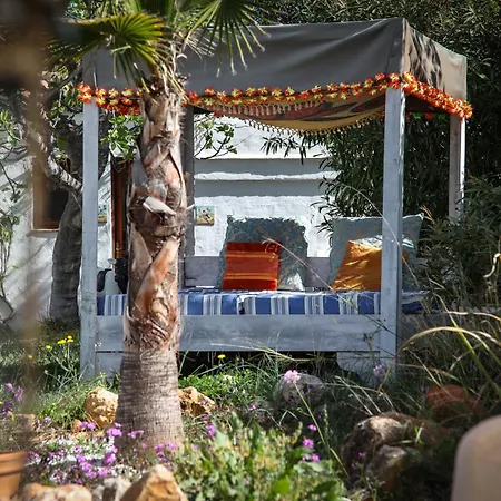 Buena Idea - Adults Only Jalon