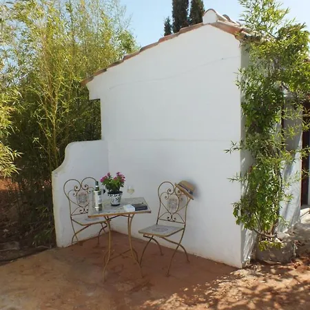 Buena Idea - Adults Only Jalón