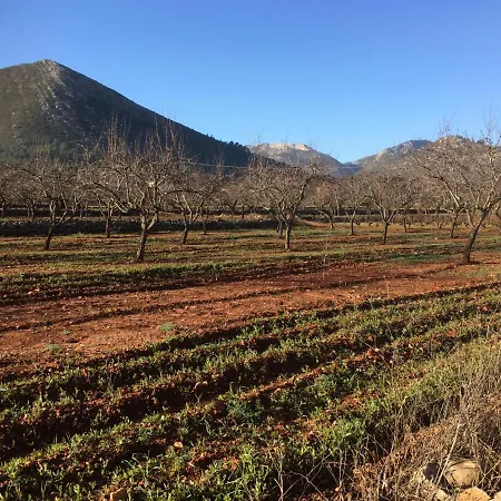 B&B Buena Idea - Adults Only 4*