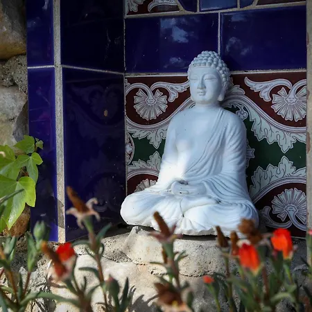 B&B Buena Idea - Adults Only