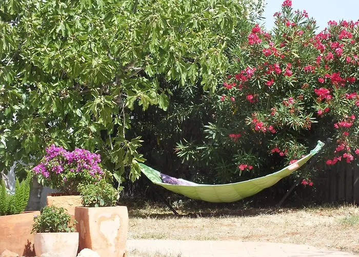 Buena Idea - Adults Only Bed & Breakfast Jalón