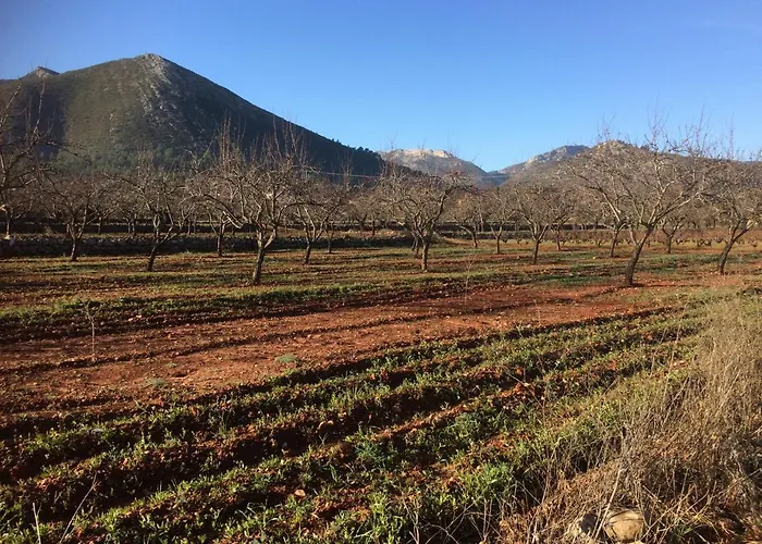 Bed & Breakfast Buena Idea - Adults Only 4*