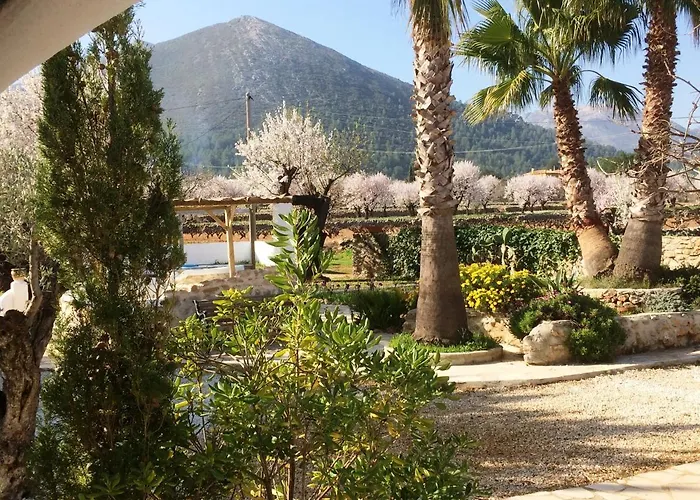 Buena Idea - Adults Only 4* Jalón